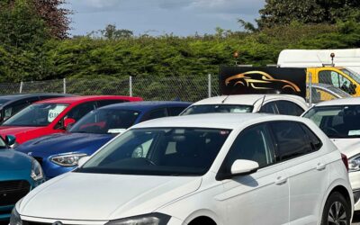 Whatsapp image 2025 08 14 at 10.45.56